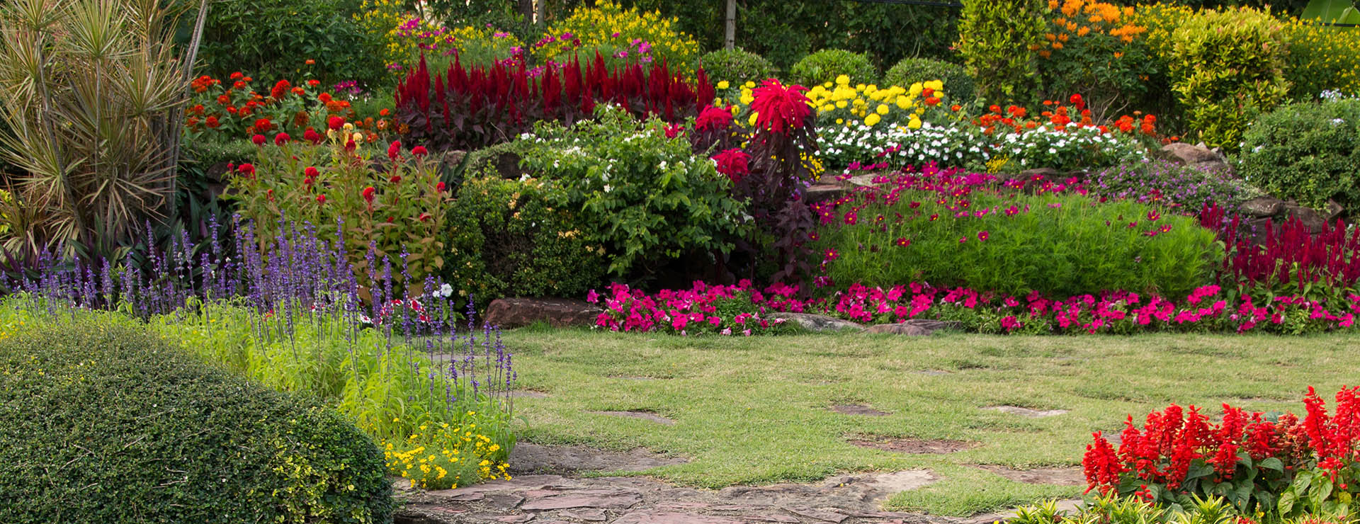 κήπος με πέτρινα σκαλοπάτια και χρωματιστά λουλούδια